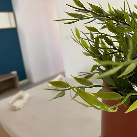 Acogedor バレンシア